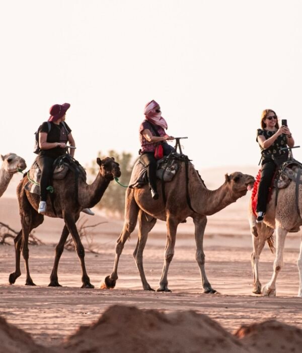 4 Days Errachidia To Marrakech Desert Tour